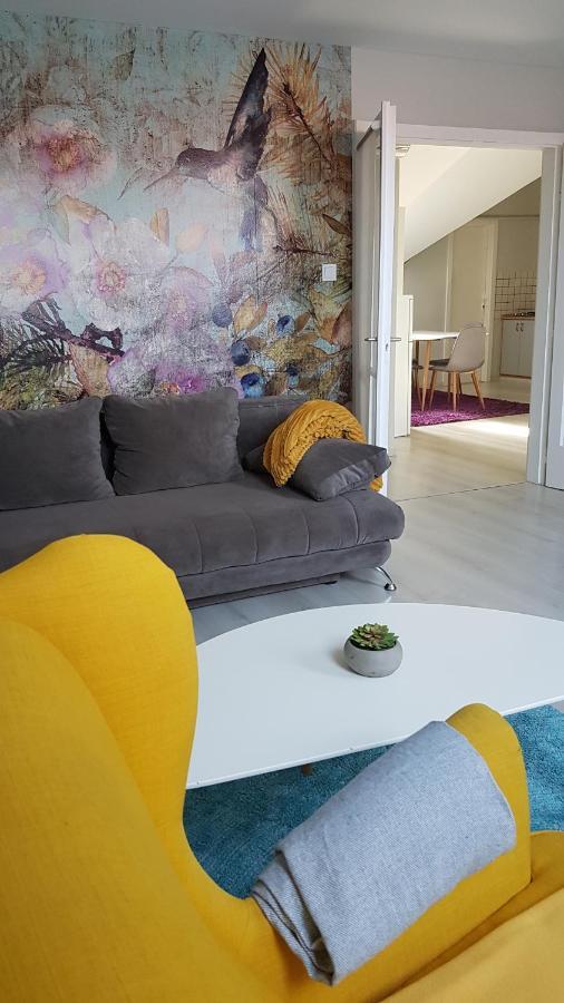 Promenad Apartman Mohács エクステリア 写真