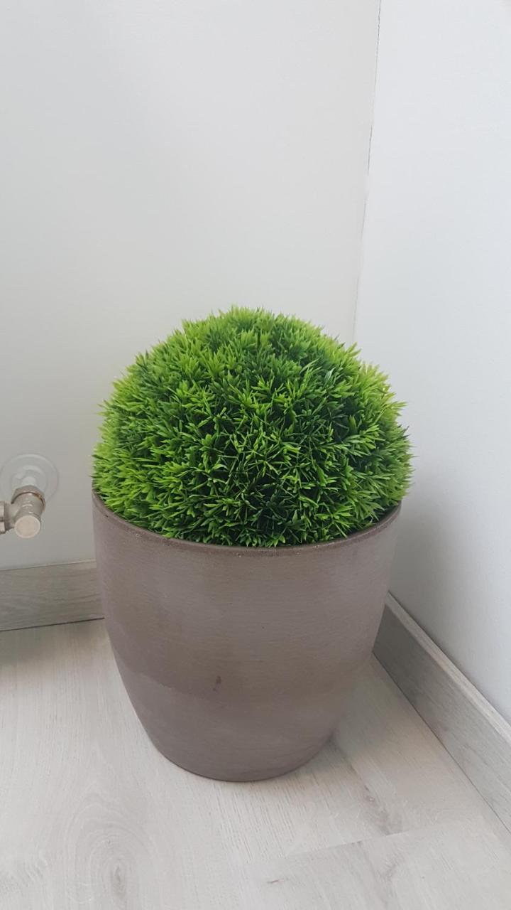 Promenad Apartman Mohács エクステリア 写真